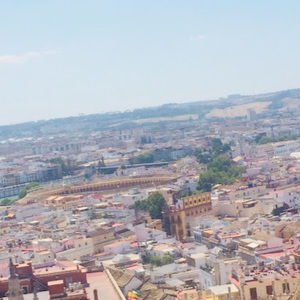 Meet your Posher, Owen